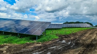 Auf einer Wiese stehen mehrere Solarmodule. In Dieblich und Waldesch soll Mitte 2026 endlich der geplante Solarpark gebaut werden. 