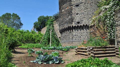 Ein Gemüsegarten an der Andernacher Stadtmauer: Das Projekt der "essbaren Stadt" in Andernach fällt in die Amtszeit von Achim Hütten