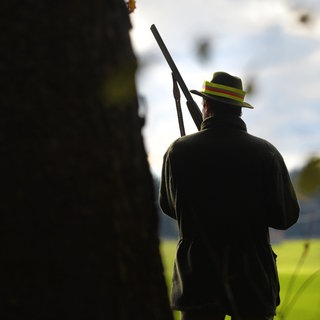 Ein Jäger im Wald mit einem Gewehr in der Hand. Die in Fiersbach im Kreis Altenkirchen gefundene Wölfin wurde mit Schrot erschossen. 