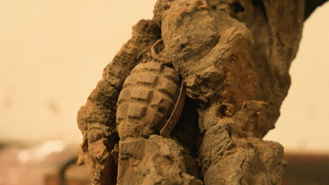 Eine in einen Baum eingewachsene amerikanische Handgranate