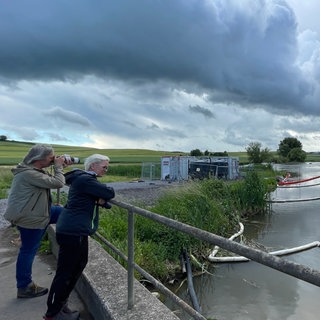 Gut drei Monate nach dem Ölunfall bei den "Thürer Wiesen" schauen sich Jörg Hilgers und Tanja Stromberg von der Stiftung für Natur und Umwelt im Landkreis Mayen-Koblenz die Lage vor Ort an.
