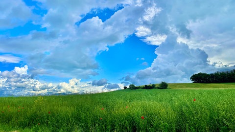 Aufatmen nach der großen Hitze. Sonne und Wolken wechseln sich ab. Meist bleibt es trocken.