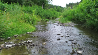 Der Armuthsbach mündet bei Schuld in die Ahr: Der kleine Bach soll einen Hilfspegel bekommen.