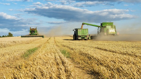 Die Bauern im Norden von RLP sind mit der Ernte 2025 zufrieden. Mähdrescher erntet Weizen (Symbolbild).