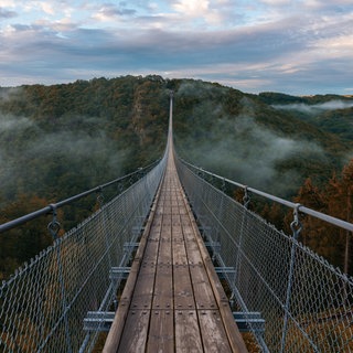 Die Geierlay Brücke im Hunsrück im Herbst
