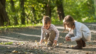 Kinder sammeln auf einem Waldweg Kastanien.