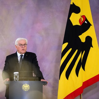 Bundespräsident Frank-Walter Steinmeier am Rednerpult