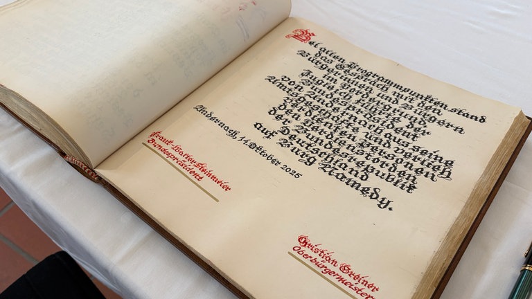 Und das ist der Text, den der Bundespräsident kurz nach dieser Aufnahme unterschrieben hat.
