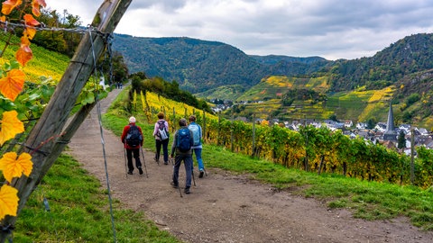 Wanderinnen und Wanderer unterwegs im Ahrtal: Viele Wege sind wieder begehbar, darunter auch der Rotweinwanderweg. Bis 2026 sollen alle Routen vollständig saniert sein.
