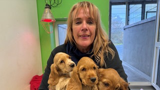 Kirstin Höfer, die Leiterin des Tierheims in Koblenz, hat mehrere Welpen auf dem Arm. 