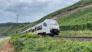 Ein Regionalzug fährt durch Weinberge am Mittelrhein in der Nähe von Boppard