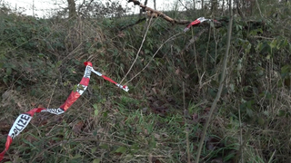 In einem Waldstück bei Monreal wurde eine verstümmelte Frauenleiche gefunden.