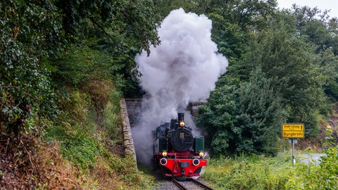 Dampflok 11sm der Brohltalbahn zieht den Vulkan-Express. Die Lokomotive wurde im Jahr 1906 gebaut.
