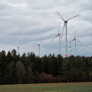 Sieben Windkraftanlagen stehen in einem Waldgebiet.
