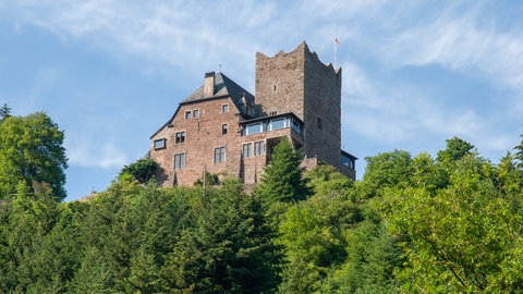 Burg Arras in Alf an der Mosel 