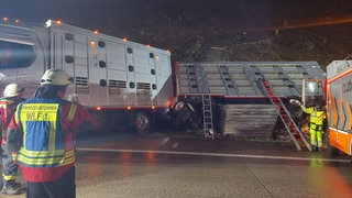 Feuerwehrleute im Einsatz auf der A3 in Ransbach-Baumbach an der Unfallstelle, wo der Tiertransporter mit 31 Rindern an Bord umgekippt ist. 