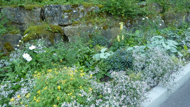 So sehen Staudenbeete aus mit einer Pflanzenauswahl für eher schattige Lagen, wo die Sonne nicht stundenlang draufknallt.