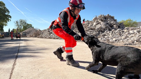 Ein Hundeführer bestätigt seinen Hund mit einem Spielzeug