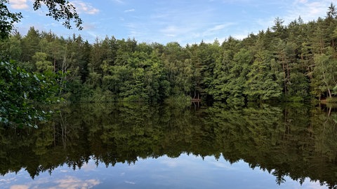 Der Argenthaler Waldsee