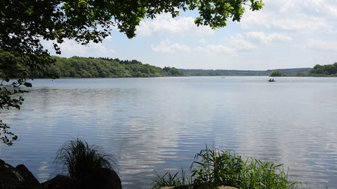 Der Dreifelder Weiher im Westerwald