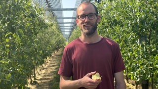 Photovoltatikanlage über Apfelplantage auf Bio-Obsthof Nachtwey in Grafschaft-Gelsdorf