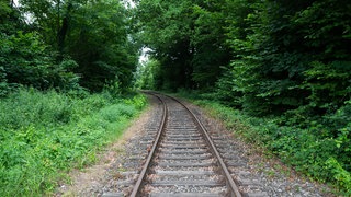 Das Symbolfoto zeigt eine alte eingleisige Bahnstrecke umrahmt von Bäumen: Vor dem Verwaltungsgericht Koblenz ging es um die Frage, ob in Bendorf eine Straße für Gleise gesperrt werden muss. 