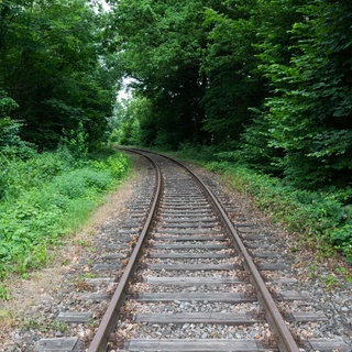 Das Symbolfoto zeigt eine alte eingleisige Bahnstrecke umrahmt von Bäumen: Vor dem Verwaltungsgericht Koblenz ging es um die Frage, ob in Bendorf eine Straße für Gleise gesperrt werden muss. 