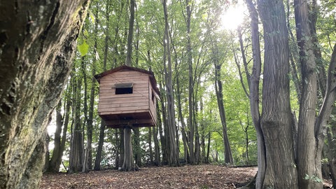 In einem Waldstück gibt es einen Abenteuerspielplatz, den die Kinder mitgestalten können.