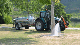 An der Mosel wird ein Baum mit einem Traktor mit Tank und Schlauch bewässert