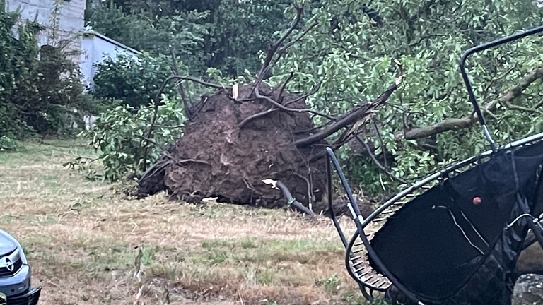Bäume wurden ausgerissen.