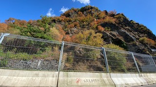 Der errichtete Fangzaun auf der B42 bei der Loreley - falls noch mehr Steine herabstürzen.