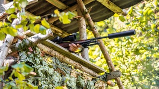 Bei Dürrholz im Kreis Neuwied wurde ein Jäger durch ein Geschoss tödlich verletzt.