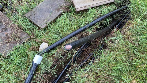 In der Vorderpfalz haben Diebe Kabel zerschnitten und gestohlen und dadurch eine wichtige Bahnstrecke lahmgelegt. Es kommt weiter zu vielen Zugausfällen und Verspätungen, da Signale nicht funktionieren.