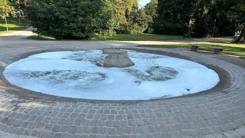 Speyerer Brunnen im Domgarten voller Schaum