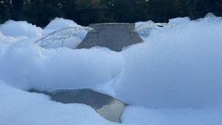 Speyerer Brunnen im Domgarten voller Schaum