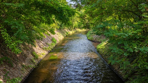 Landesgartenschau-Neustadt: Der Speyerbach in seinem jetzigen Zustand  