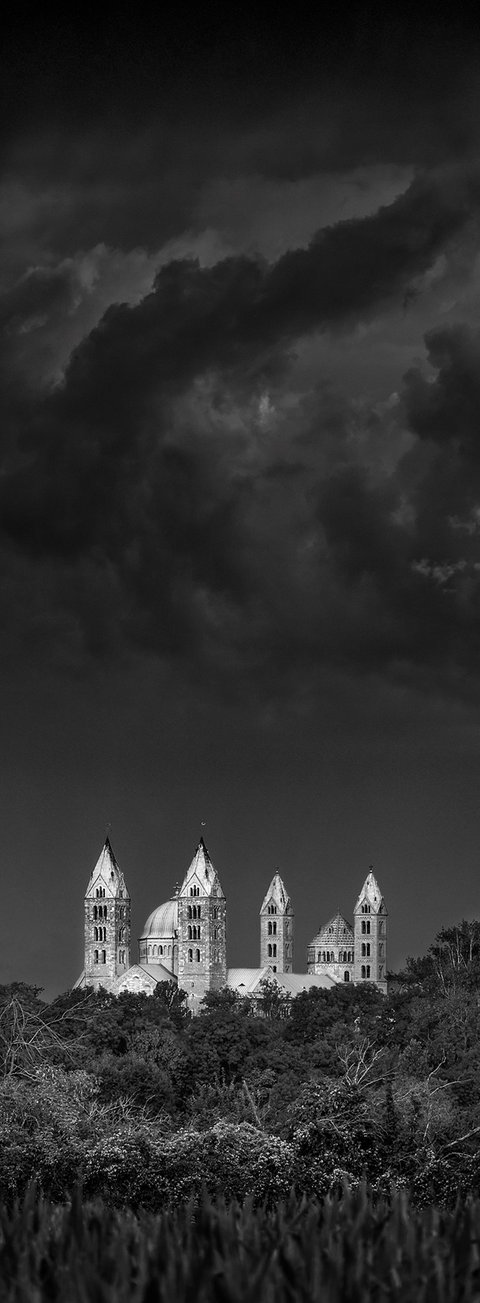 Bild von Horst Hamann vom Speyerer Dom von ferne für seinen Bildband