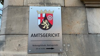 Das Amtsgericht Speyer hat einen Mann aus Lingenfeld zu einer Bewährungsstrafe von einem Jahr und sechs Monaten verurteilt. Er hatte in Speyer Polizisten angegriffen und leicht verletzt.