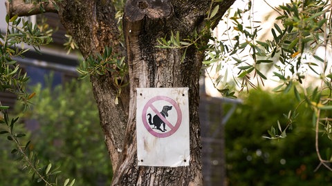 Ein Schild an einem Baum im Garten: Hunde sollen hier nicht pinkeln - Symbolbild: Streit zwischen Hundehalter und Hausbesitzerin eskaliert