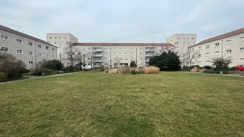 Stadtführung durch Ludwigshafen. Gerhard Brandt zeigt Ebertpark, Ebertsiedlung und Friedenskirche.