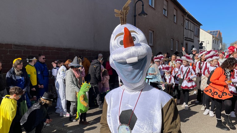 Fastnachtsumzug in Insheim