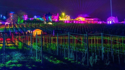 Weinbergnächte in Bad Dürkheim