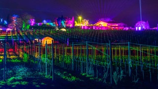 Weinbergnächte in Bad Dürkheim