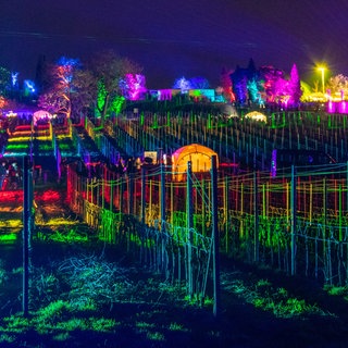 Weinbergnächte in Bad Dürkheim