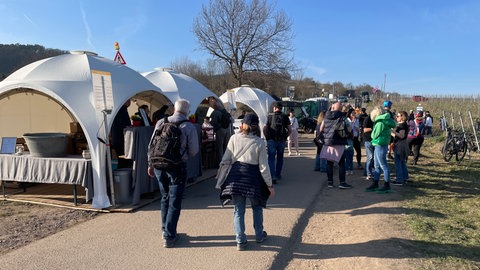 In Zelten entlang eines Wanderwegs durch die Weinberge bei Bad Dürkheim verkaufen Winzer ihre Sekte und Weine beim ersten "WeinWandel"