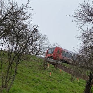 Der unterhöhlte Bahndamm bei Wachenheim. Rote Pflöcke markieren die Dachshöhlen. Die Zugstrecke zwischen Bad Dürkheim und Deidesheim muss wegen des unterhöhlten Bahndamms gesperrt werden.