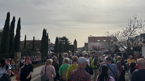 Gimmeldinger Mandelblütenfest