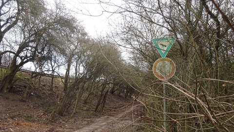 Unterhöhlter Bahndamm bei Landau-Winden
