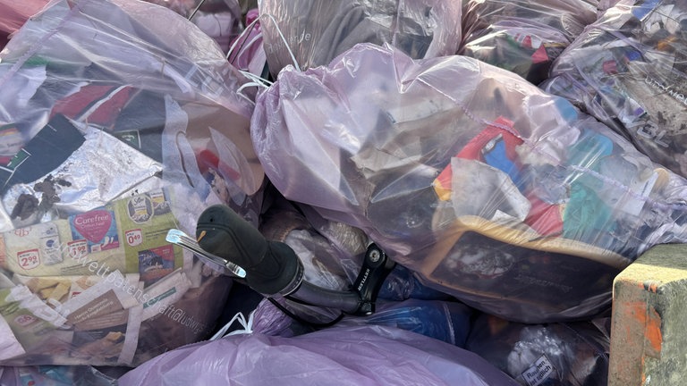 RhineCleanUp in Mannheim und Ludwigshafen