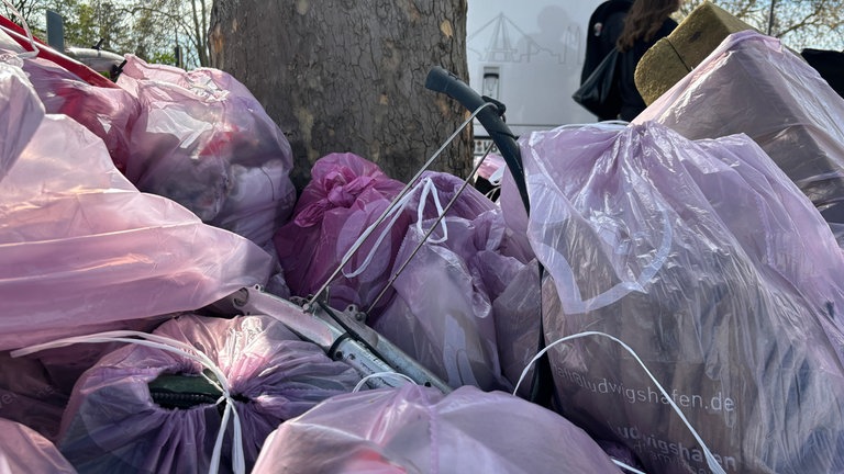 RhineCleanUp in Mannheim und Ludwigshafen